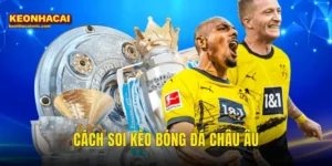 soi kèo bóng đá châu Âu
