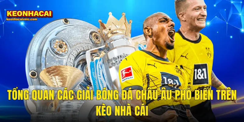 Chinh Phục Cách Soi Kèo Bóng Đá Châu Âu Đỉnh Cao Cùng Kèo Nhà Cái 2 Tổng Quan Các Giải Bóng Đá Châu Âu Phổ Biến Trên Kèo Nhà Cái