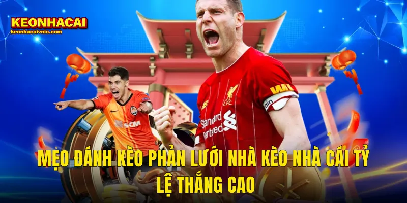 Mẹo Đánh Kèo Phản Lưới Nhà Kèo Nhà Cái Tỷ Lệ Thắng Cao