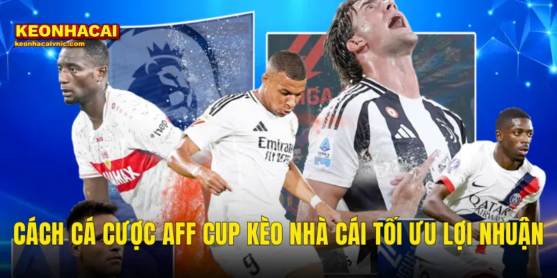 Cách Cá Cược AFF Cup Thông Minh Và Sinh Lời Bền Vững Tại Kèo Nhà Cái 3 Cách Cá Cược AFF Cup Kèo Nhà Cái Tối Ưu Lợi Nhuận