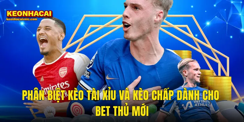 Nên Chơi Kèo Tài Xỉu Hay Kèo Chấp – Giải Đáp Toàn Diện Tại Kèo Nhà Cái 2 Phân Biệt Kèo Tài Xỉu Và Kèo Chấp Dành Cho Bet Thủ Mới